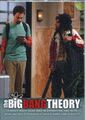 The Big Bang Theory Staffeln 3 & 4 komplett 68 Karten Base Set