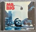 CD Mr. Big - Bump Ahead - 1993