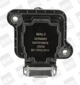 Zündspule BorgWarner (BERU) ZS016 für A6 A4 AUDI A3 VW B5 C5 GOLF TT C4 A8 BORA