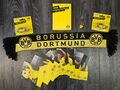 Borussia Dortmund Autogrammkarten 2013/14 Pin Schal Opel Corsa