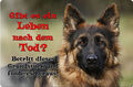 Deutscher SCHÄFERHUND - A4 Metall Warnschild Hundeschild Alu SCHILD - DSH 38 T19