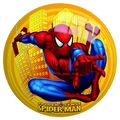 John Ball Spider-Man 9 Zoll, sortiert