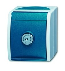 Busch-Jaeger Steckdose 1fach grau/blau-grün matt Aufputz horizontal/vertikal...