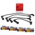 HERTH+BUSS Zündkabelsatz + 4x NGK Zündkerze für HYUNDAI i10 KIA PICANTO 1.0 1.1