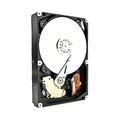 Seagate Barracuda 7200.12 1 TB 3.5 Zoll SATA-III 6Gb/s ST31000524AS HDD  #117367