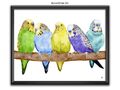 Aquarell verschiedene Farben 5 Budgies Druck von Ilona Winter