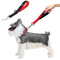 Hundeleine Kurzführer Kurzleine Führschlaufe Gepolsterter Hundegeschirr 32/46cm