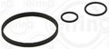 Elring (365.960) Dichtung, Ölfiltergehäuse für DACIA MERCEDES NISSAN