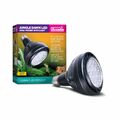Arcadia Jungle Dawn Spot LED 40W - E27 Terrarienlampe Tageslicht Lampe Pflanzen