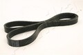 ASHIKA 112-5PK1220 Keilrippenriemen für TOYOTA Avensis Kombi (T22) 1220mm