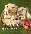 Haselmaus ganz nah  ►►►UNGELESEN °  von Korinna Seybold   °