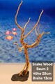 Snake Wood Baum Aquarium Wurzel auf Schieferplatte