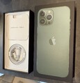 Apple iPhone 13 Pro Max 256 GB Alpingrün / Sehr guter Zustand, Zubehörpaket, OVP