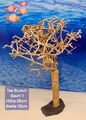 Aquarium Wurzel Bonsai Tee Bruch Baum auf Schieferplatte