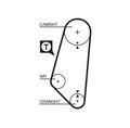 GATES 6PK1835XS Keilrippenriemen für BMW