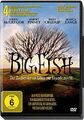 Big Fish | DVD | Zustand gut