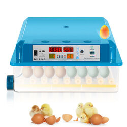 Brüter Brutautomat Ei-Inkubator Temperaturkontrollsystem Thermometer Leise