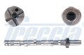 Nockenwelle für Audi Skoda VW A8 D2 A6 C5 Avant Freccia Cm05-2120 1997 - 2005