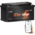 LiFePO4 12V 100AH Batterie Bluetooth 1280Wh Wohnmobil Boot Trolling