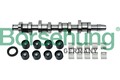 Nockenwellensatz Borsehung B18664 für GOLF PASSAT 2CA SKODA VW POLO SEAT AUDI B6