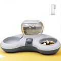 Erhöhter Katzennapf mit Automatischem Wasserspender - Rutschfestes Design, Grau