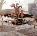 WOHNLING Design Couchtisch Glas Schwarz 70 x70 cm 2 Ebenen Gold Metallgestell 