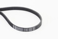 CONTINENTAL CTAM Keilrippenriemen 4PK1538 für RENAULT DACIA NISSAN