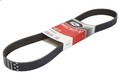 Keilrippenriemen GATES 7PK1035 für 8 (E31) 5.4 1994-1999