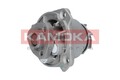 KAMOKA T0286 Kühlmittelpumpe Wasserpumpe für VW Polo Schrägheck (6R1, 6C1)