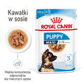 ROYAL CANIN Maxi Puppy Hundefutter Nassfutter 10x140g
