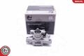Esen SKV 10SKV313 Hydraulikpumpe, Lenkung für HONDA