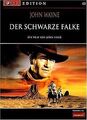 Der schwarze Falke - FOCUS-Edition von John Ford | DVD | Zustand sehr gut