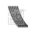 FEBI BILSTEIN 38426 Keilrippenriemen für FORD,MAZDA,VOLVO