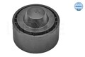 Meyle Umlenk-/Führungsrolle, Keilrippenriemen 16-14 009 0012 für CITROËN DS