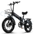 Dual Motor 2000W Elektrofahrrad 48V 18AH E Mountainbike E-City Bike Pedelec