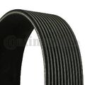 CONTINENTAL CTAM 11,5X730Ld Keilriemen für FORD SEAT VW