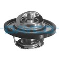 ORIGINAL® Dayco Thermostat, Kühlmittel für Ford TRANSIT Kasten TRANSIT Bus