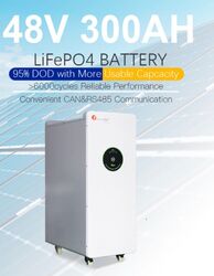 Batteriespeicher 15kwh PV 300Ah LiFePO4 Lithium Speicher 48V LPBF48300 + 4Rollen7Jahre Herstellergarantie CE / UN Zertifikaten *15Kwh*