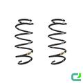 Fahrwerksfeder-Set vorne Schraubenfeder 338mm SPIDAN für VW PASSAT B7