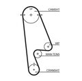 Zahnriemen Gates 5503XS für ABARTH ALFA ROMEO  passend für FIAT JEEP LANCIA
