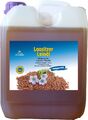 Leinöl 10 Liter frisch nativ Lausitzer Leinöl kaltgepresst ohne Zusatzstoffe   