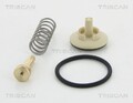 TRISCAN Thermostat für Vag (0) 8620 24987