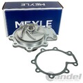 MEYLE WASSERPUMPE MIT DICHTUNG passend für FORD COUGAR MONDEO JAGUAR X-TYPE |