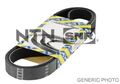 SNR CA4PK747 Keilrippenriemen passend für FIAT HYUNDAI KIA RENAULT ROVER
