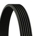 Keilrippenriemen CONTINENTAL CTAM 6PK1090 für SEAT FIAT AUDI VW SKODA NISSAN 1F7