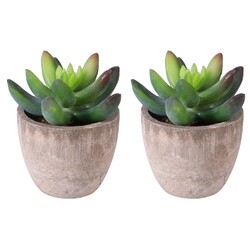  2 Count Kaktus Künstlich Künstliche Topfpflanze Dekorative Pflanzen