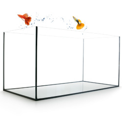 Aquarium Becken rechteckig standard Größen Glasbecken Glas Aquarienbecken
