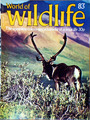 WORLD OF WILDLIFE Nr. 83 GROUSE arktische Tiere TUNDRA Caribou RENTIER Orbis 1977