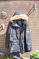 Winterjacke mit großer Fell-Kapuze  in Gr. L, siehe die Fotos.