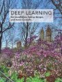 Deep Learning (Adaptive Computation and Machine Learning series) | Gebundene Aus